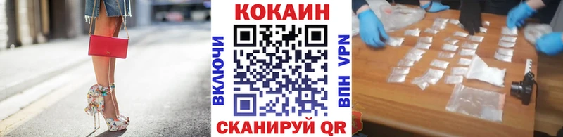 магазин продажи наркотиков  Карачаевск  Cocaine FishScale 