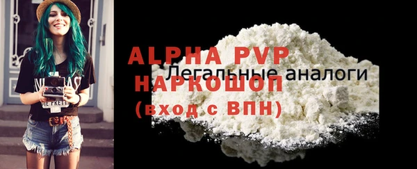 гашик Ельня