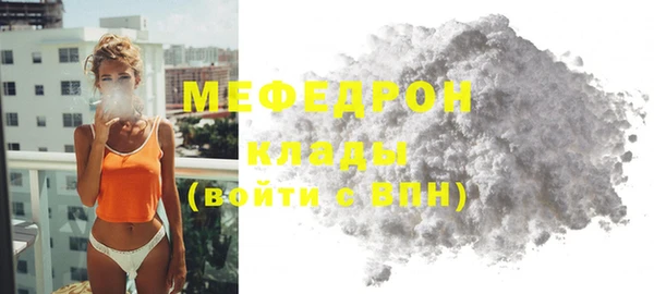 гашик Ельня