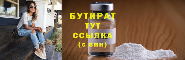 гашик Ельня