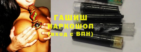 гашик Ельня