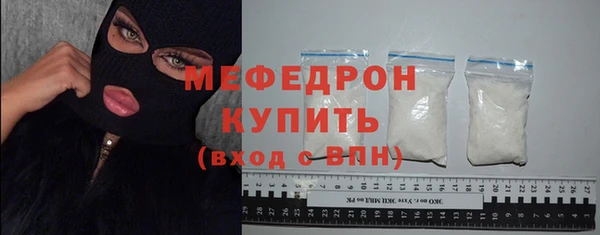 гашик Ельня