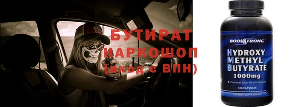 гашик Ельня