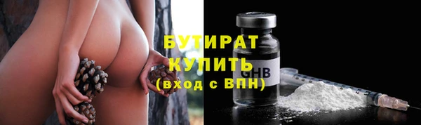 гашик Ельня