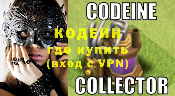 гашик Ельня