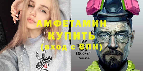 гашик Ельня