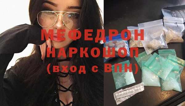 гашик Ельня