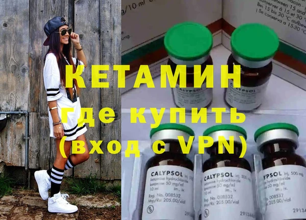 гашик Ельня