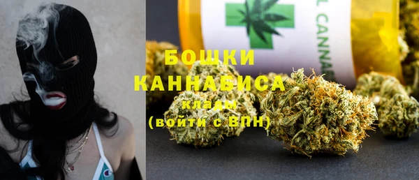 гашик Ельня