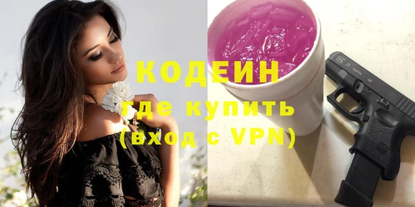 гашик Ельня