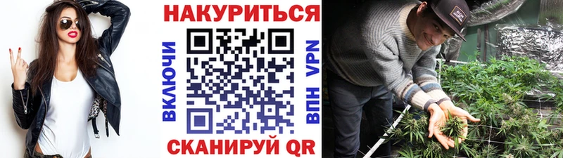 наркотики  Карачаевск  даркнет формула  Марихуана план 